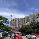 킹콩놀이샵 이미지