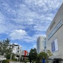 대신약업사 이미지