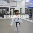 용인대 한여울 태권도장 이미지