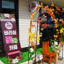 금산꽃차마을