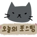 거금야구장 이미지