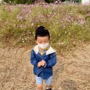 담방마을사거리 이미지