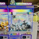 대박뽑기방 이미지