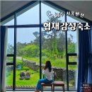 웃뜨르협재312 | 제주 서쪽 감성 숙소 협재 펜션 웃뜨르협재312