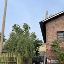 금성출판사 본관 이미지