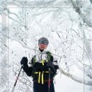 띵까띵까 이미지