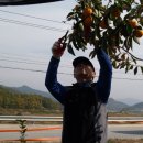 태선농장 이미지