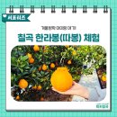 도고농장 이미지