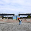 해변풍경 | 이바라키 여행 국영 히타치 해변공원 산책 코키아 풍경 가는법 후기