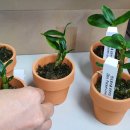 비원도서관 이미지