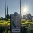 그린밸리가든 | 말레이시아 쿠알라룸프 글렌메리 골프클럽 가든코스 후기