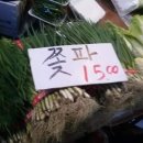 정감이 이미지