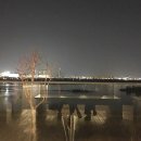 영커피남양주