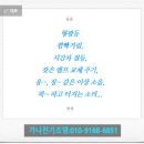 무지개전기조명 이미지