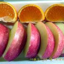 스피드넷 이미지