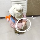 어린이집 빨대컵 추천 그로미미 원터치캡 스텐빨대컵
