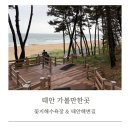 태안군_T11 해변길 5코스(노을길)_AP4 | 안면도 가볼만한곳 꽃지해수욕장 물때 산책코스 태안해변길