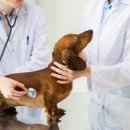 하이 동물병원 이미지