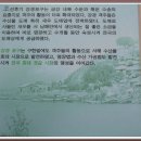 강경맛젓갈 이미지