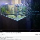 물꼬기 - 하남시 | 물꼬기