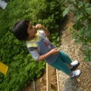 용준농장 이미지