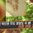 [티벗쇼,제철밥상]찌는 듯한 더위~ 쏟아지는 비까지!에너지 충전!갈증 해소에 좋은 여름 과일.하나도 버릴 게 없다 여름 제철... 이미지