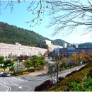 초당대학교 이미지