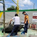 충남주유소 이미지