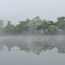 물안개 이미지
