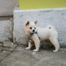 청학동경로당 이미지