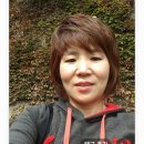 인셀덤스타 - 경산시 | 인셀덤스타