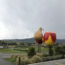 운상농장 이미지