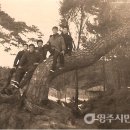 윗반고개마을 티스토리