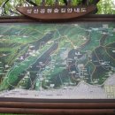 앞산 전망대(501m)에서(2013.07.20) 이미지