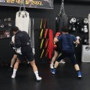 팀 해명 짐 이미지