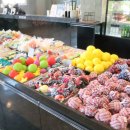 레스트펫 이미지