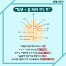 선 에스테틱 - 연수구 송도 | 선 에스테틱