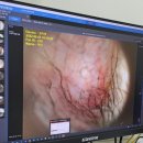 뉴케어 동물병원 이미지