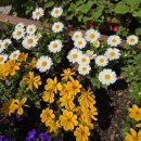 너참이쁘다