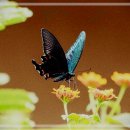 전자의거리 이미지