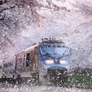 김밥이놈 이미지