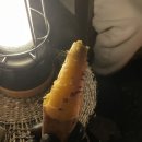 형제마트 나들가게 이미지