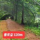 농업회사법인 마음이가 주식회사