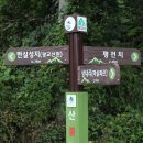 상내권역 나실마을 이미지