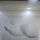 여리한 다이어트(압구정점) | 압구정 체형관리 여리한다이어트 압구정점 솔직 후기 (압구정다이어트관리)