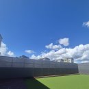 라인하트 애견호텔 유치원 이미지