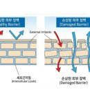 베스트팜약국 이미지