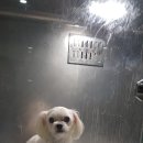 길동물병원 이미지