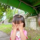 시아도아네 이미지