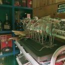 모티(Motti) 이미지